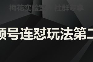 【2023.09.07】梅花实验室社群视频号连怼玩法第二期，实操讲解全部过程百度网盘免费下载-芽米宝库