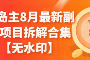 【2023.09.05】黄岛主8月最新副业项目拆解合集【无水印】百度网盘免费下载-芽米宝库