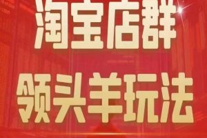 【2023.09.05】九栢米-淘宝店群领头羊玩法，教你整个淘宝店群领头羊玩法以及精细化/终极蓝海/尾销等内容百度网盘免费下载-芽米宝库