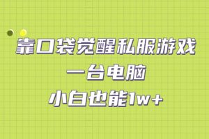 【2023.09.04】靠口袋觉醒私服游戏，一台电脑，小白也能1w+（教程+工具+资料）百度网盘免费下载-芽米宝库