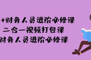 【2023.09.03】AI + 财务人员进阶必修课二合一视频打包课，财务人员进阶必修课百度网盘免费下载-芽米宝库