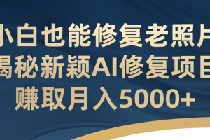【2023.09.01】小白也能修复老照片！揭秘新颖AI修复项目，赚取月入5000+百度网盘免费下载-芽米宝库