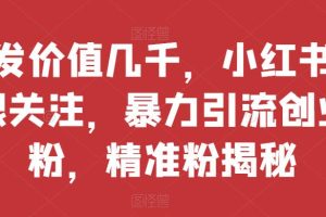 【2023.08.26】首发价值几千，小红书无限关注，暴力引流创业粉，精准粉揭秘百度网盘免费下载-芽米宝库