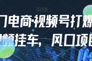 【2023.08.26】九门电商·视频号打爆短视频挂车，风口项目百度网盘免费下载-芽米宝库