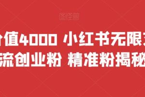 【2023.08.24】首发价值4000 小红书无限艾特暴力引流创业粉 精准粉揭秘教程百度网盘免费下载-芽米宝库