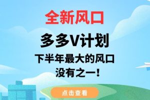 【2023.08.24】全新风口，多多V计划，下半年最大的风口项目，没有之一百度网盘免费下载-芽米宝库