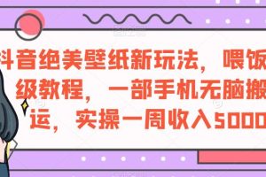 【2023.08.24】抖音绝美壁纸新玩法，喂饭级教程，一部手机无脑搬运，实操一周收入5000百度网盘免费下载-芽米宝库