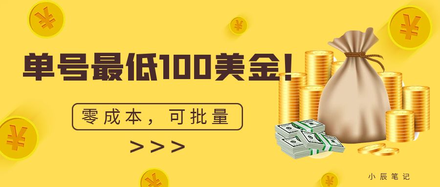 图片[1]-【2023.08.24】单号最低100美金，零成本，小白无脑操作。可复制，可扩大。百度网盘免费下载-芽米宝库