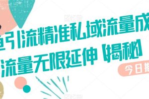 【2023.08.23】咸鱼引流精准私域流量成交流量无限延伸百度网盘免费下载-芽米宝库