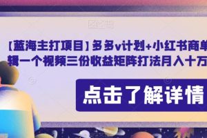【2023.08.23】【蓝海主打项目】多多v计划+小红书商单，AI剪辑一个视频三份收益矩阵打法月入十万百度网盘免费下载-芽米宝库