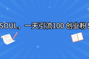 【2023.08.23】SOUL，一天引流100 创业粉！百度网盘免费下载-芽米宝库