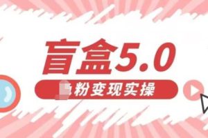 【2023.08.23】盲盒交友5.0，男粉变现实操项目，亲测变现效果极好百度网盘免费下载-芽米宝库