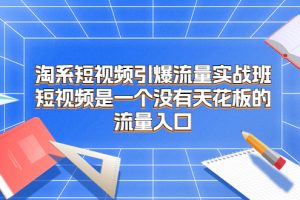 【2023.08.22】淘系短视频引爆流量实战班，短视频是一个没有天花板的流量入口百度网盘免费下载-芽米宝库