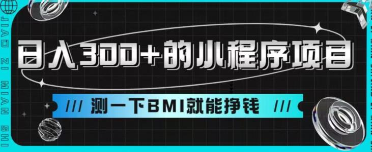 图片[1]-【2023.08.20】日入300+的小程序项目，测一下BMI就能挣钱百度网盘免费下载-芽米宝库