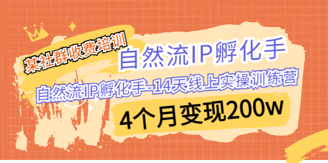 图片[1]-【2023.08.19】某社群收费培训：自然流IP 孵化手-14天线上实操训练营 4个月变现200w百度网盘免费下载-芽米宝库