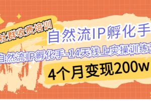 【2023.08.19】某社群收费培训：自然流IP 孵化手-14天线上实操训练营 4个月变现200w百度网盘免费下载-芽米宝库