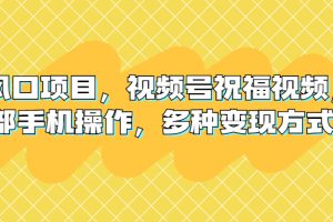 【2023.08.18】新风口项目，视频号祝福视频，一部手机操作，多种变现方式百度网盘免费下载-芽米宝库