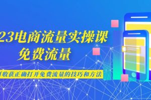 【2023.08.17】2023电商流量实操课-免费流量，学会可收获正确打开免费流量的技巧和方法百度网盘免费下载-芽米宝库