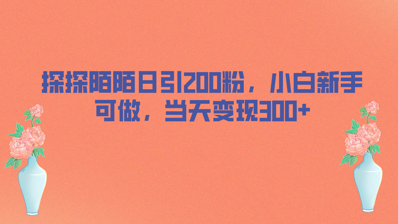 图片[1]-【2023.08.12】探探陌陌日引200粉，小白新手可做，当天就能变现300+百度网盘免费下载-芽米宝库