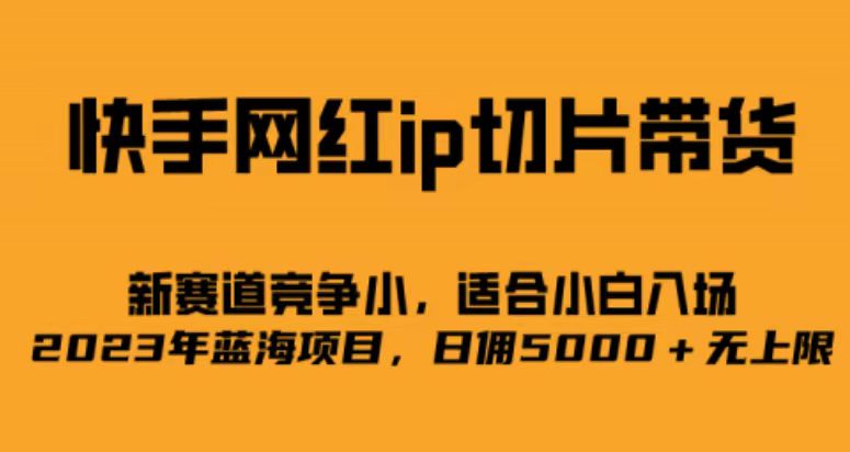 图片[1]-【2023.08.14】快手网红ip切片新赛道，竞争小，适合新手 2023蓝海项目百度网盘免费下载-芽米宝库