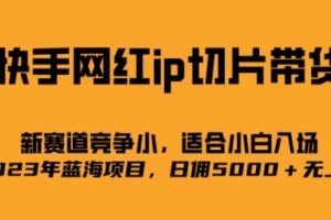 【2023.08.14】快手网红ip切片新赛道，竞争小，适合新手 2023蓝海项目百度网盘免费下载-芽米宝库