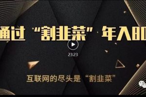 【2023.08.12】知识付费才是最好的项目，教你如何通过知识付费月入5万百度网盘免费下载-芽米宝库