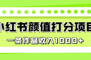 【2023.08.11】适合0基础小白的小红书颜值打分项目，一条作品收入1000+百度网盘免费下载-芽米宝库