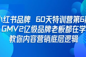 【2023.08.10】小红书品牌 60天特训营第6期 GMV2亿级品牌老板都在学 教你内容营销底层逻辑百度网盘免费下载-芽米宝库