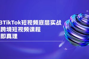 【2023.08.10】2023TikTok-短视频底层实战，海外跨境短视频课程，实战即真理百度网盘免费下载-芽米宝库