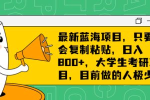 【2023.08.09】最新蓝海项目，只要会复制粘贴，日入800+，大学生考研项目，目前做的人极少百度网盘免费下载-芽米宝库