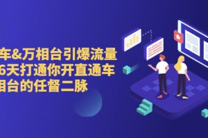 【2023.08.08】直通车+万相台引爆流量班，6天打通你开直通车·万相台的任督 二脉百度网盘免费下载-芽米宝库
