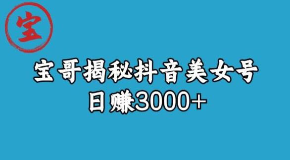 图片[1]-【2023.08.07】宝哥揭秘抖音美女号玩法，日赚3000+百度网盘免费下载-芽米宝库