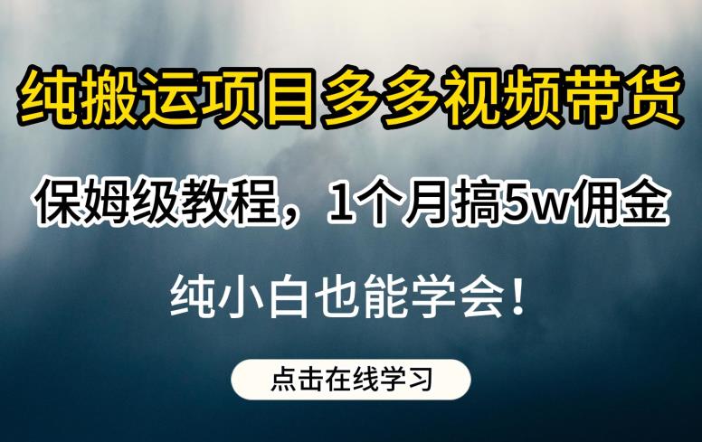 图片[1]-【2023.08.07】纯搬运项目多多视频带货保姆级教程，1个月搞5w佣金，纯小白也能学会百度网盘免费下载-芽米宝库