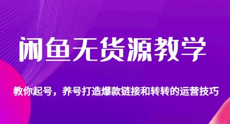 图片[1]-【2023.08.05】闲鱼无货源教学，教你起号，养号打造爆款链接以及转转的运营技巧百度网盘免费下载-芽米宝库