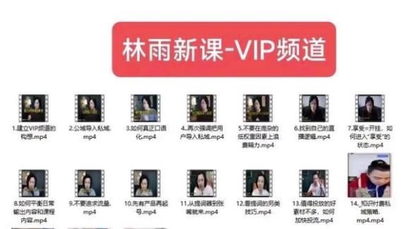 图片[1]-【2023.08.01】林雨新课VIP频道，玩赚私域/朋友圈/社群百度网盘免费下载-芽米宝库