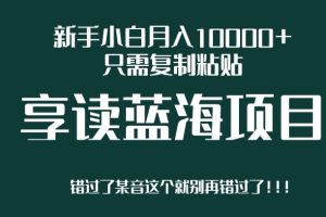 【2023.08.01】新手小白月入10000+，只需复制粘贴，享读蓝海项目，目前处于平台上升期百度网盘免费下载-芽米宝库