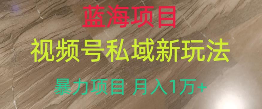 图片[1]-【2023.08.01】蓝海项目，视频号私域新玩法，暴力项目月入1万+百度网盘免费下载-芽米宝库