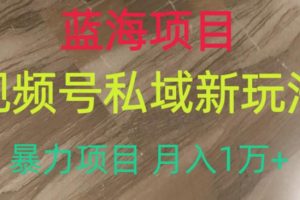 【2023.08.01】蓝海项目，视频号私域新玩法，暴力项目月入1万+百度网盘免费下载-芽米宝库