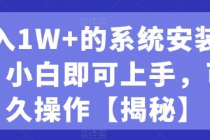 【2023.07.31】月入1W+的系统安装赛道、小白即可上手，可永久操作百度网盘免费下载-芽米宝库