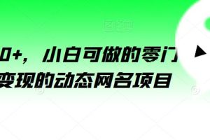 【2023.07.31】日入200+，小白可做的零门槛无脑变现的动态网名项目百度网盘免费下载-芽米宝库