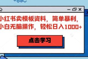 【2023.07.31】小红书卖模板资料，简单暴利，小白无脑操作，轻松日入1000+百度网盘免费下载-芽米宝库