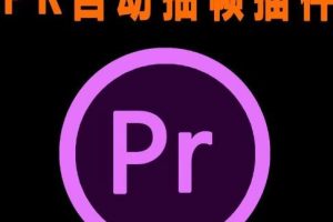 【2023.07.29】外面收费198的PR抽帧插件短视频去重插件【软件+教程】百度网盘免费下载-芽米宝库