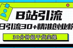 【2023.07.28】B站引流日引流30+精准创业粉，超详细B站引流创业粉玩法百度网盘免费下载-芽米宝库