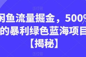 【2023.07.28】闲鱼流量掘金，500%的暴利绿色蓝海项目百度网盘免费下载-芽米宝库