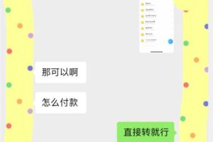 【2023.07.28】外面收费3980的蓝海新赛道，小红书虚拟资源新手小白可以直接上手的副业，一部手机月入过万不是问题百度网盘免费下载-芽米宝库