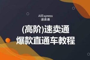 【2023.07.28】高阶速卖通直通车视频教程，教你正确解锁直通车，拒绝无效烧钱百度网盘免费下载-芽米宝库