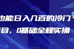 【2023.07.27】新手也能日入几百的冷门DIY项目，0基础全程实操百度网盘免费下载-芽米宝库