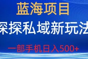 【2023.07.26】蓝海项目，探探私域新玩法，一部手机日入500+很轻松百度网盘免费下载-芽米宝库