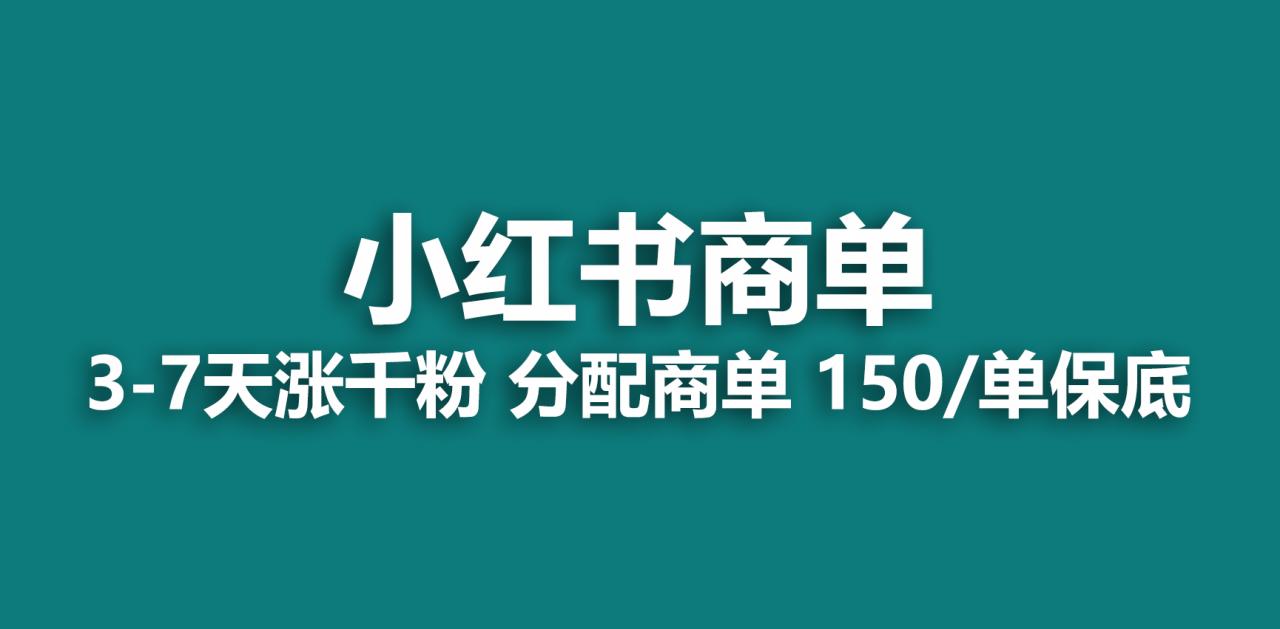图片[1]-【2023.07.26】2023最强蓝海项目，小红书商单项目，没有之一！百度网盘免费下载-芽米宝库