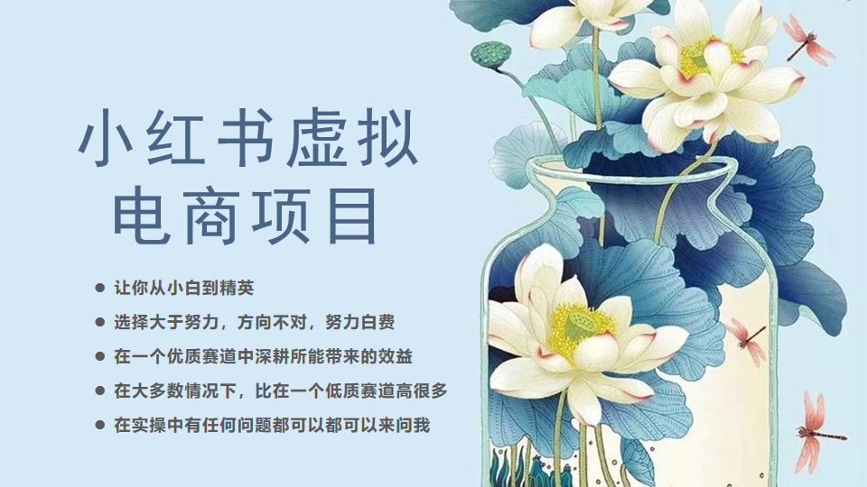 图片[1]-【2023.07.24】小红书虚拟电商从0到1，让你从小白到精英（20节实操课程）百度网盘免费下载-芽米宝库